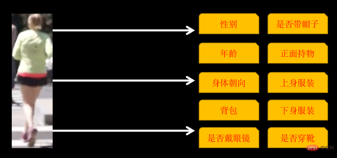 AI has seen you clearly, YOLO+ByteTrack+multi-label classification network AI has seen you clearly, YOLO+ByteTrack+multi-label classification network