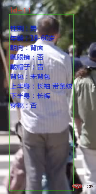 AI has seen you clearly, YOLO+ByteTrack+multi-label classification network AI has seen you clearly, YOLO+ByteTrack+multi-label classification network