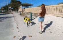 站起来，不准跪！一根棍子帮机器狗完成“狗”到“人”进化，关键还适应不同品牌的狗