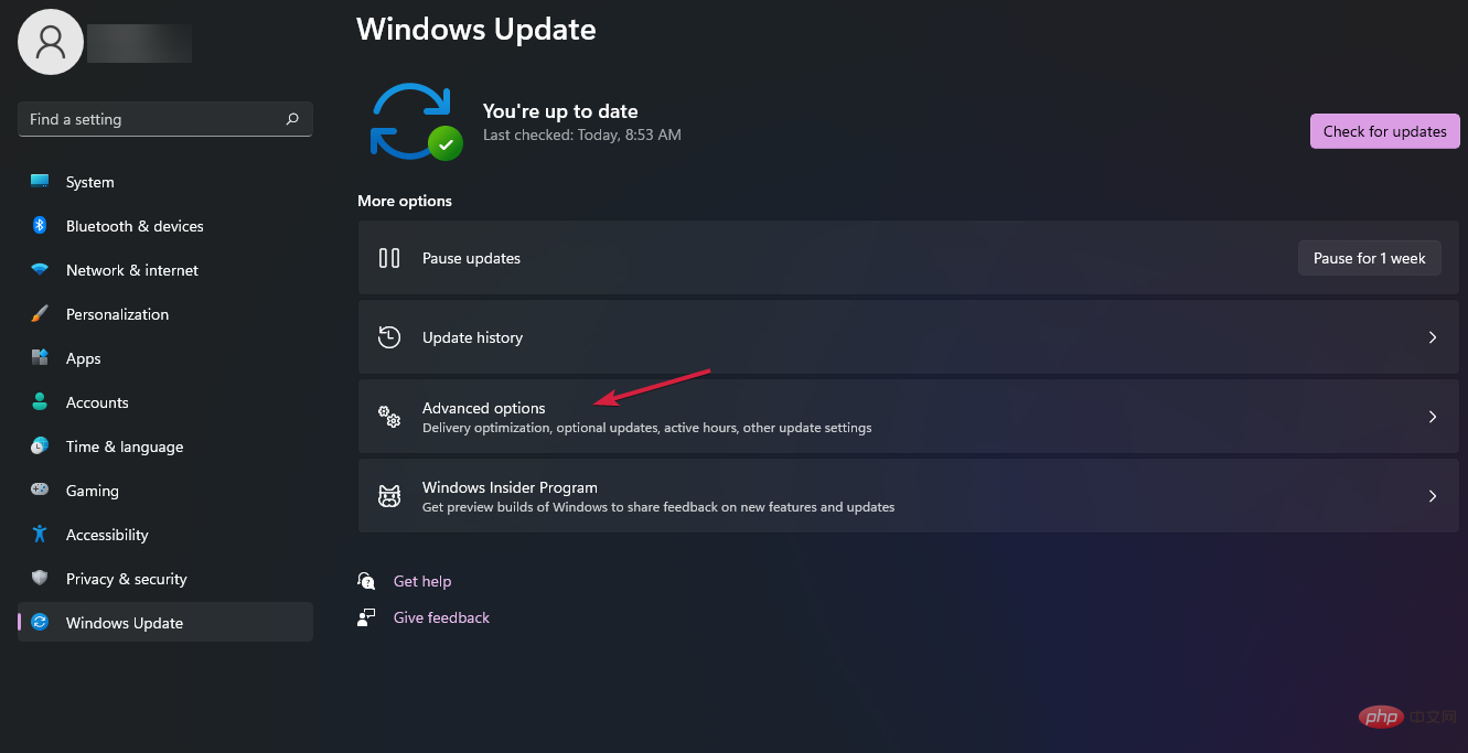 advanced-options-update
