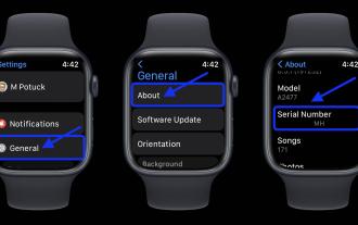 Bagaimana untuk mencari nombor siri pada Apple Watch anda