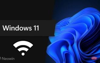 DNS sur TLS est désormais disponible pour les Windows 11 Insiders, voici comment l'activer
