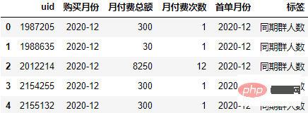 Python在同期群分析中的應用方法