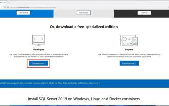 étapes pour installer SQL Server 2021 Developer Edition sur Windows 11