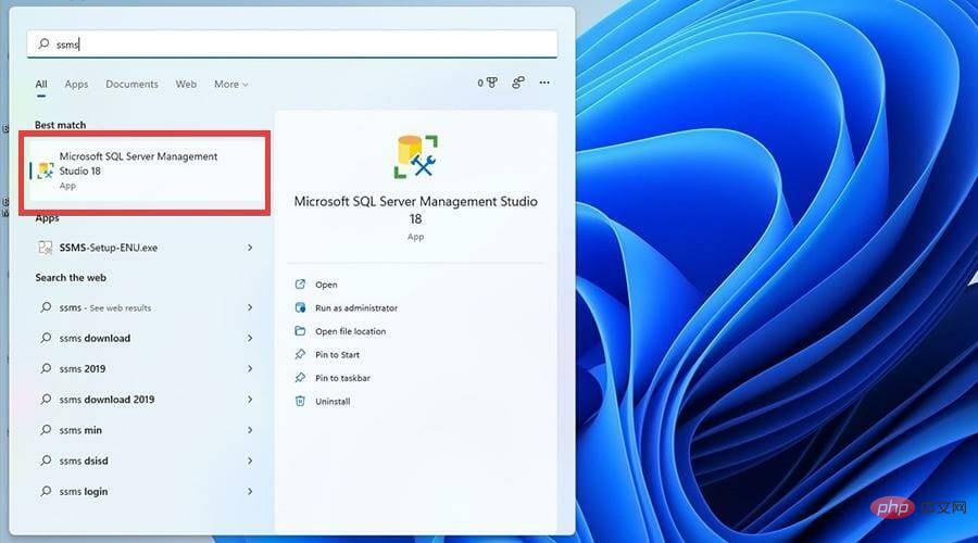 在 Windows 11 上下载并安装SQL Server 2021开发者版