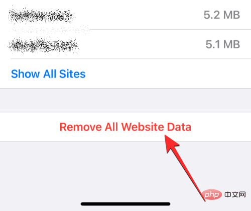 删除 iPhone 上的 cookie：分步教程