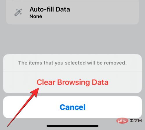 删除 iPhone 上的 cookie：分步教程