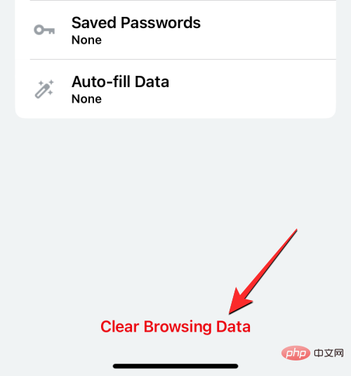 删除 iPhone 上的 cookie：分步教程