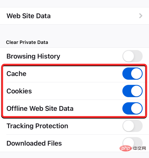 删除 iPhone 上的 cookie：分步教程