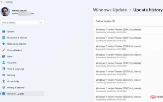 Windows 11 Insider Preview Build 22616은 컨트롤러 표시줄을 제공하고 시스템 트레이에서 아이콘을 재정렬하는 옵션을 복원합니다.
