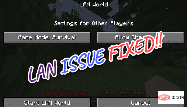 如何修复 Minecraft LAN 在 Windows 11 或 10 中未显示的问题