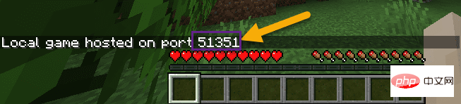 如何修复 Minecraft LAN 在 Windows 11 或 10 中未显示的问题