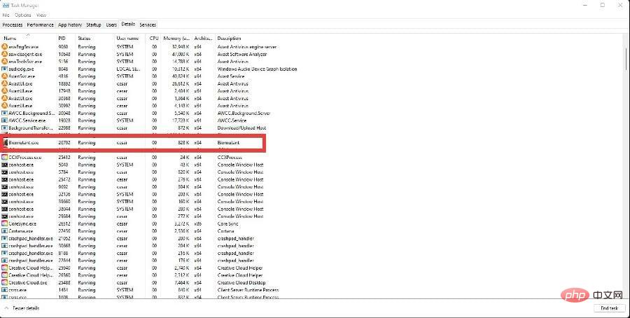 如何在 Windows 11 上毫无问题地运行 Biomutant