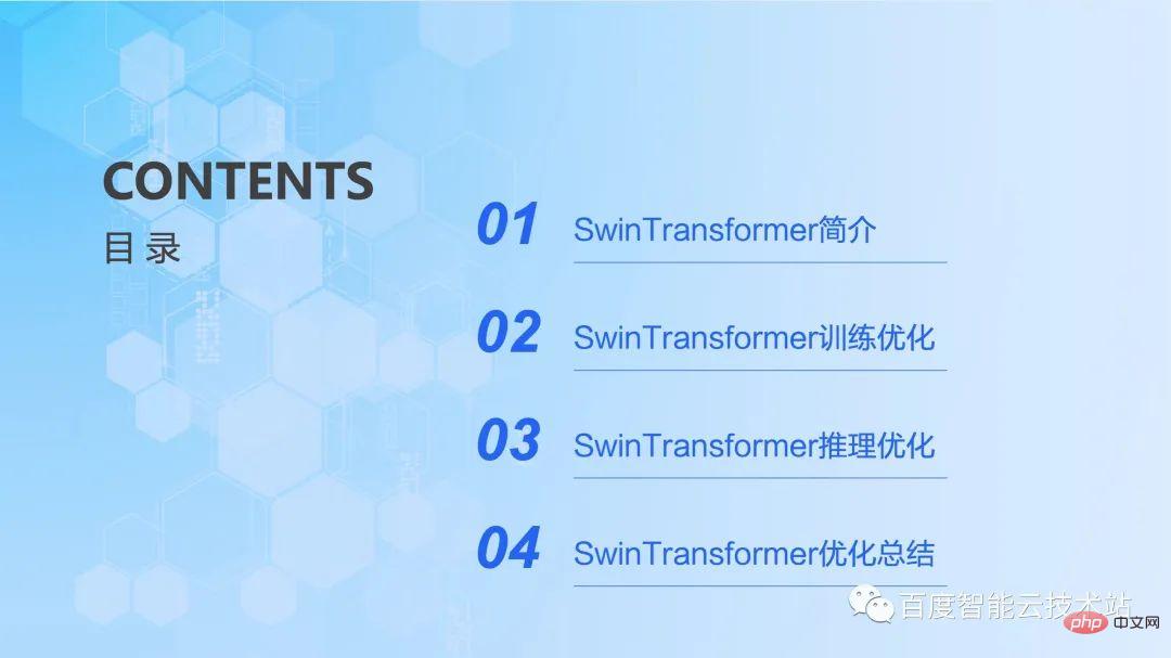 视觉大模型训练和推理加速