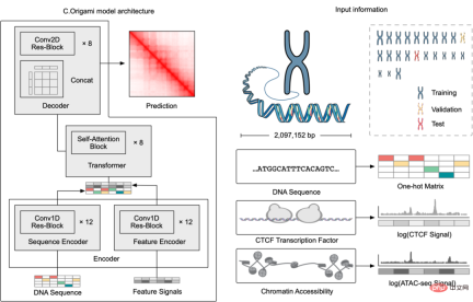 Exploration and application of genome conformation prediction models and high-throughput computational genetic screening methods
