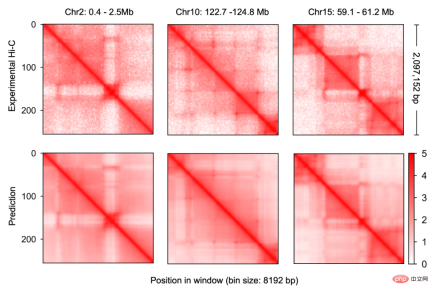 Exploration and application of genome conformation prediction models and high-throughput computational genetic screening methods