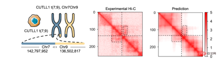 Exploration and application of genome conformation prediction models and high-throughput computational genetic screening methods