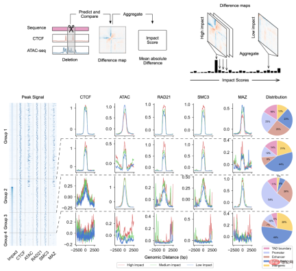 Exploration and application of genome conformation prediction models and high-throughput computational genetic screening methods