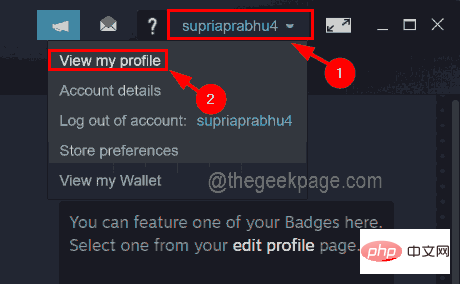 如何通过几个步骤了解您的 Steam ID