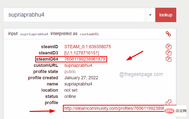 如何通过几个步骤了解您的 Steam ID