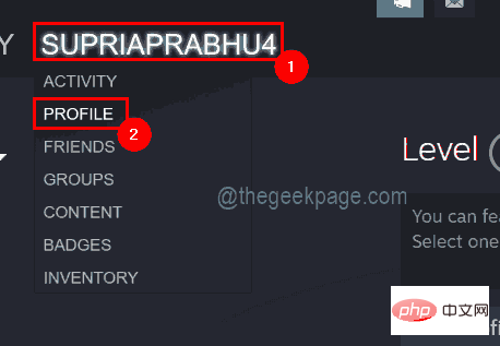 如何通过几个步骤了解您的 Steam ID