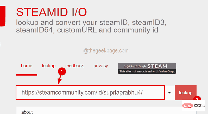 如何通过几个步骤了解您的 Steam ID