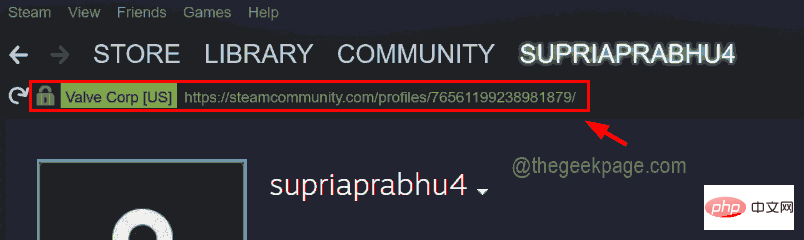 如何通过几个步骤了解您的 Steam ID