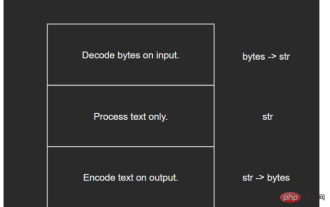 Analyse du code source str de type Python intégré