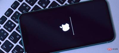 如何修复卡在 Apple 标志上的 iPad？