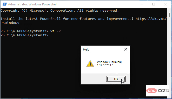如何在 Windows 11 上以管理员身份打开 PowerShell