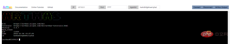 SpringBoot整合java诊断工具Arthas怎么用