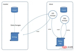 SpringBoot项目中怎么实现MySQL读写分离