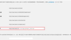 So stellen Sie WordPress in Nginx pseudostatisch ein