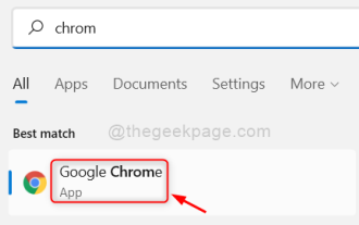 如何修復 Google Chrome 上的 Roblox 403 禁止錯誤