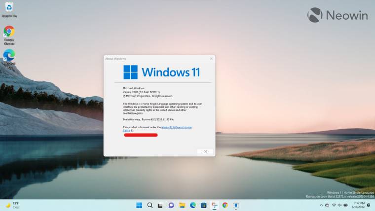 如何在 Windows 11 开发频道的文件资源管理器中启用选项卡