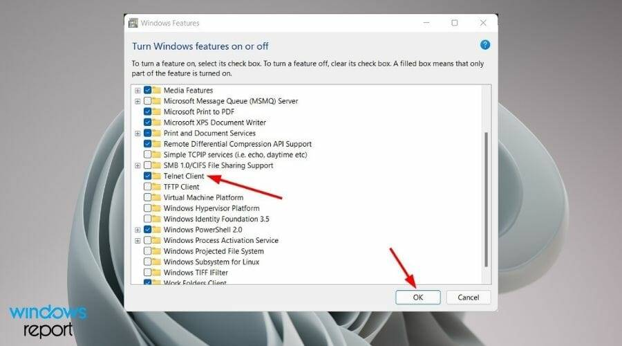 Windows 11 中的 Telnet 完整教程 [安装/启用和故障排除]