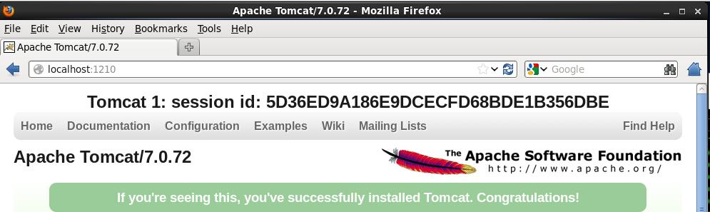 CentOS6.5下Tomcat7 Nginx Redis配置實例分析
