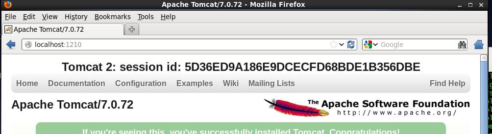CentOS6.5下Tomcat7 Nginx Redis配置實例分析