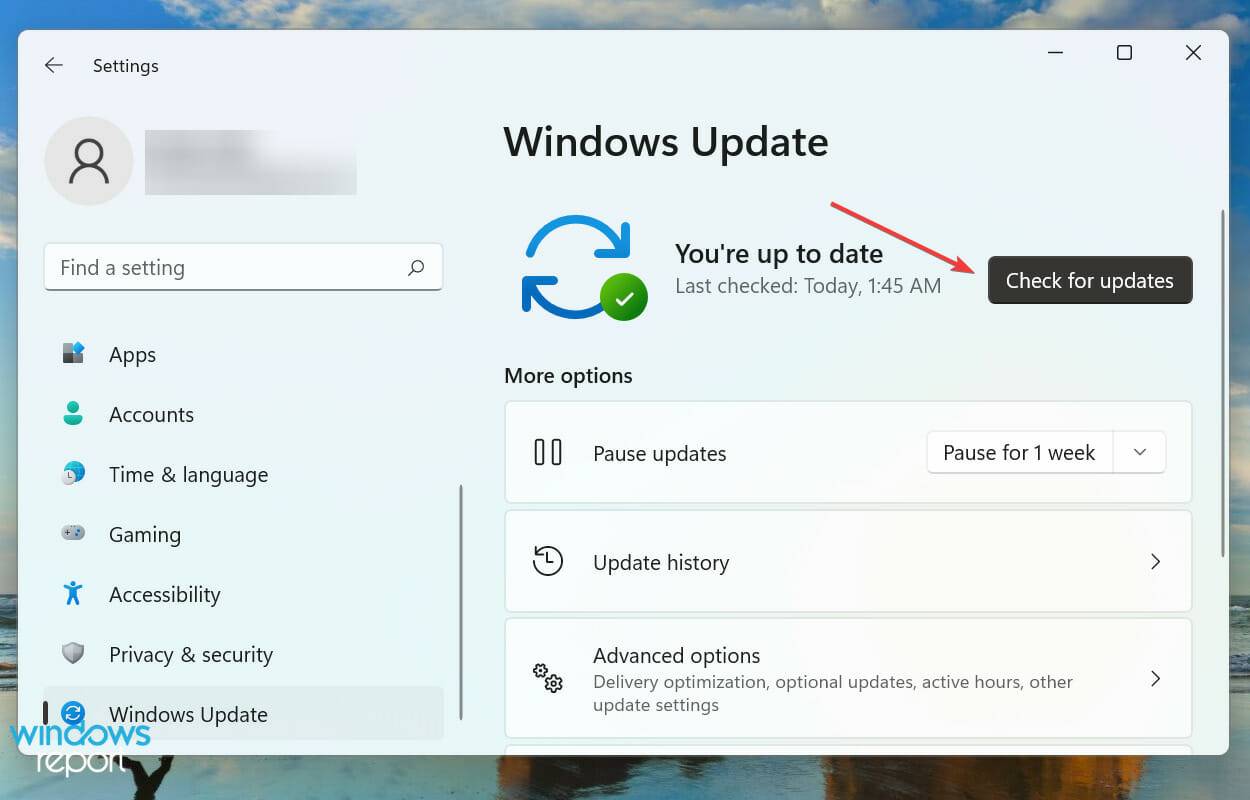 La luminosité ne fonctionne pas sous Windows 11 ? Appliquez ces correctifs