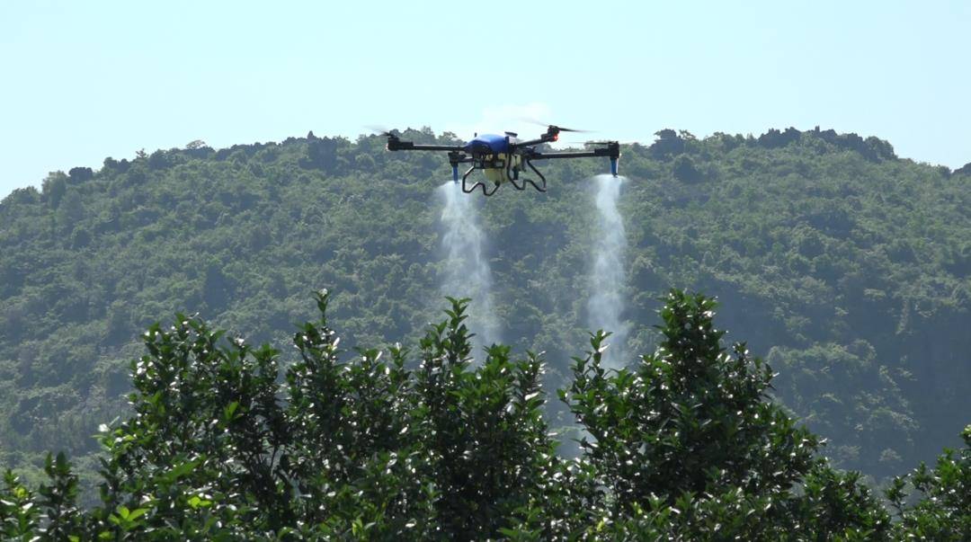 Jiang Yong: Drone plant protection flies to new heights in rural revitalization