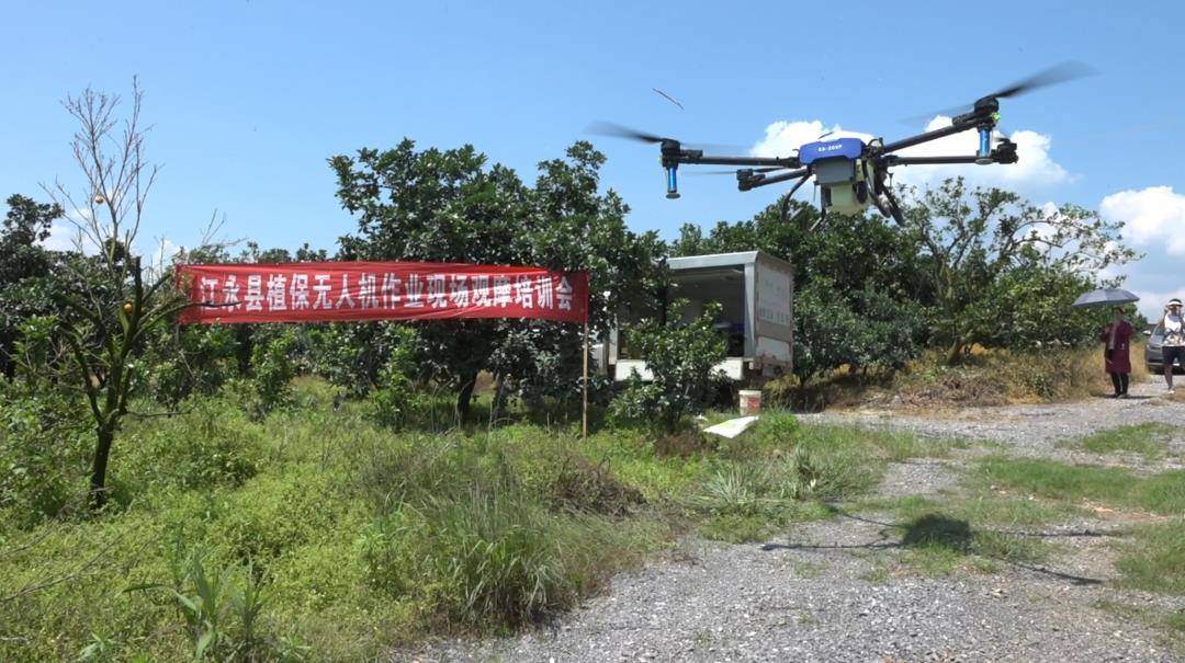 Jiang Yong : La protection des plantes par drone atteint de « nouveaux sommets » dans la revitalisation rurale