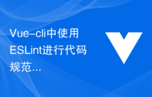 Vue-cli中使用ESLint进行代码规范化和bug检测