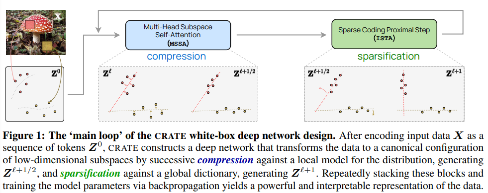 LeCun supports it. Professor Ma Yis five-year masterpiece: a completely mathematically interpretable white-box Transformer whose performance is not inferior to ViT.