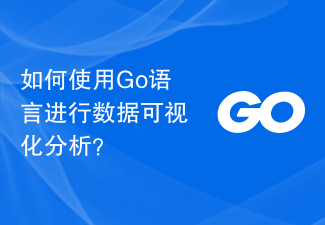 如何使用 Go 语言进行数据可视化分析?
