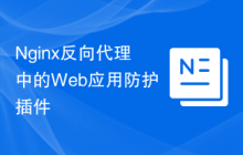 Nginx反向代理中的Web应用防护插件
