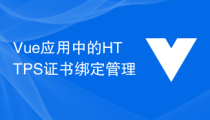 Vue应用中的HTTPS证书绑定管理