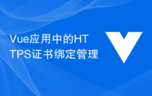 Vue应用中的HTTPS证书绑定管理