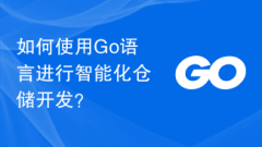 How to use Go language for intelligent warehousing development?