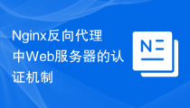 Nginx反向代理中Web服务器的认证机制