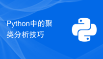 Python中的聚类分析技巧